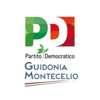 PD Partito Democratico Guidonia Montecelio logo - Similar company to Comune Di Guidonia Montecelio