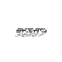 Skean Records logo - Similar company to Ada France