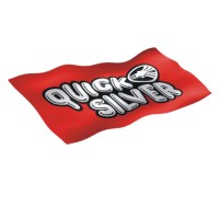 Quick Silver India Delhi logo - Similar company to Quick Silver India Gurugram Headquarter