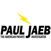 The American Private Investigator