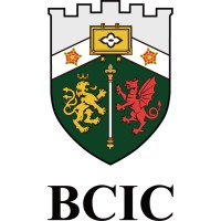 BCIC Ltd. logo - Similar company to 万联证券股份有限公司