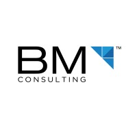 BM Consulting Pvt Ltd logo - Similar company to Addmatrix