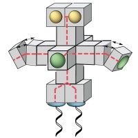 Dna-Robotics, Msca-Itn