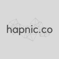 hapnic.co logo - Similar company to Techuniverses.Com