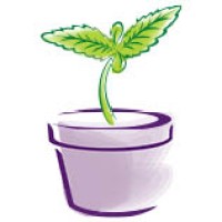 Doc Green's Healing Collective logo - Similar company to Myhi