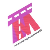 TRANS-MISSIONS EXPRESS logo - Similar company to Trans-Missions