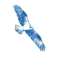 Osprey Consulting