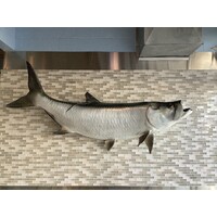 Off the Hook Seafood LLC logo - Similar company to Essential Contractors