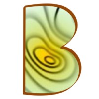 BayesMap Solutions logo - Similar company to Mécaplas Ingénierie