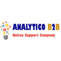 Analytico B2B Solutions logo - Similar company to Ideabox Infotech Solutions Pvt Ltd
