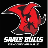 Saale Bulls logo - Similar company to Itfreund