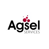 Agsel Services logo - Similar company to Ghana Decor Lab