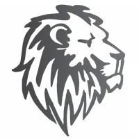 Lion's Garage - Professional Auto Detailing Studio logo - Similar company to Detailing Anna Mataśka