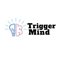 TriggerMind_ASET logo - Similar company to Codecampers