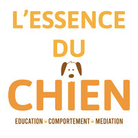 L'essence du chien logo - Similar company to Langue De Chien