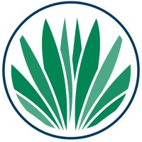 Palmetto Solutions logo - Similar company to Rt Solar & Electric