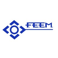 FEEM Windings logo - Similar company to Unwired Technology