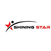 Shining Star - Master Mind logo - Similar company to Robust Network Solutions