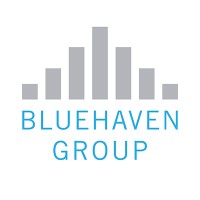 Bluehaven Group logo - Similar company to Pci Projects Limited