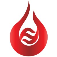 FireForce Ltd logo - Similar company to Djy Design Limited