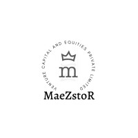 MAEZSTRO R logo - Similar company to Maezstro