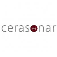 cerasonar logo - Similar company to Designflow