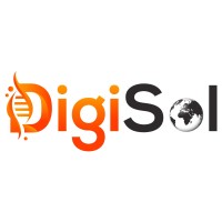 DigiSol Global Limited logo - Similar company to Dragon Digital Dynamic