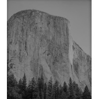 El Cap Advisors