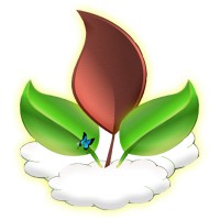 The Nathan Leaf Foundation for Patient Advocacy logo - Similar company to Market Modelers®