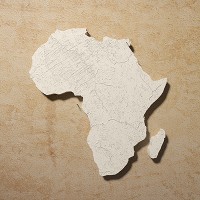 African Libertarian logo - Similar company to Africa Centre For Entrepreneurship And Youth Empowerment