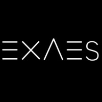 EXAES logo - Similar company to B2Grow - Consultoria Em Reestruturação Empresarial