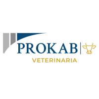 PROKAB logo - Similar company to Prokab Partners