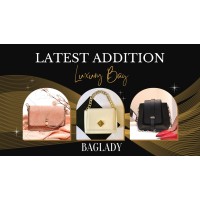 BagLady logo - Similar company to Wisdom Soft Inc