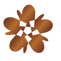 North Star Group & Northern Network logo - Similar company to Arctic Youth Network