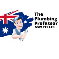 The Plumbing Professor NSW logo - Similar company to Rd Plumbing Solutions