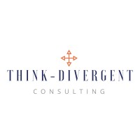 Think-Divergent Solutions LLC logo - Similar company to Nm2Tech Llc.