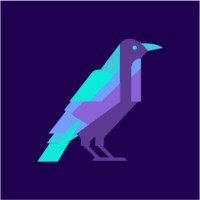 RavenSight logo - Similar company to Matt Simkin
