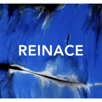 Reinace logo - Similar company to Jvdb Studios