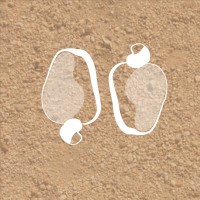 Amar Brasilidades logo - Similar company to Camilo Arquiteto