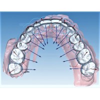 OrthoDigital srl logo - Similar company to Sorrisul