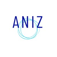 Aniz logo - Similar company to Data Mindset Academy