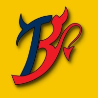 Bawaal Trend logo - Similar company to Dronezone Pvt. Ltd