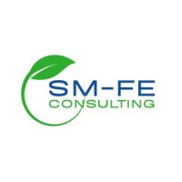 SM-FE Consulting LTD logo - Similar company to EmpꓥVolve