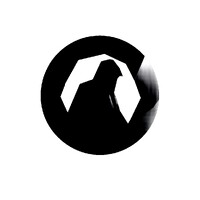 ShadowCorp logo - Similar company to Agasti Llc