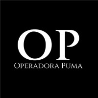 Operadora Puma SAPI de C.V logo - Similar company to Emez