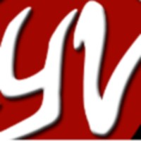 Youth Voices logo - Similar company to Bess Solutions