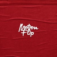 Motion Flip logo - Similar company to Dosea Seguros