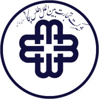 ATLAS PEGAH INTERNATIONAL TRADE Co . p,j,s logo - Similar company to Brookline Youth Baseball