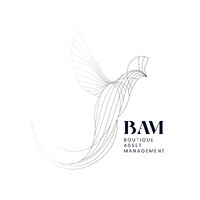 Boutique Asset Management logo - Similar company to Rencell