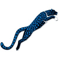 Snow Leopard Consulting LLC logo - Similar company to Pledco Led